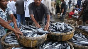 DKP Minta Nelayan Aceh Jaga Kualitas Hasil Tangkapan