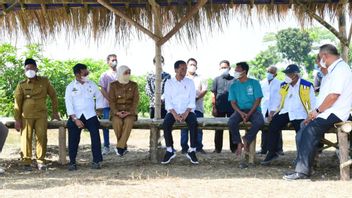 Peminat Buah Mangga Tinggi, Jokowi Mau Produksi di Gresik Digenjot