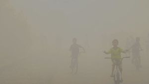 Kabut Asap Karhutla, 11.769 Warga Bengkulu Terpapar ISPA