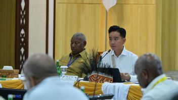 ronyme : Le vice-président affirme que la Papouasie de la République d’Indonésie a refusé d’impossibilité