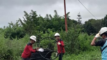 PLN NTT Distributes Electricity For Residents Of 9 Hamlets On Flores Island