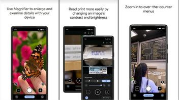 Aplikasi Magnifier untuk Smartphone Pixel Kini Sudah Tersedia di Play Store
