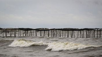  Soal Pagar Laut, Walhi: Kalau Berpihak pada Nelayan, Dicabut Saja