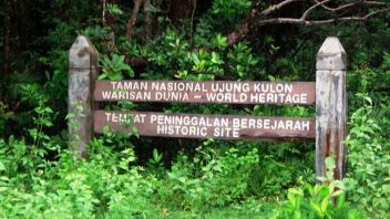 History Today 24 June 1937: Ujung Kulon National Park Designated As A Wildlife Reserve