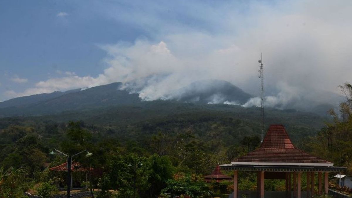东爪哇省政府评估拉武山在森林和陆地火灾后恢复情况