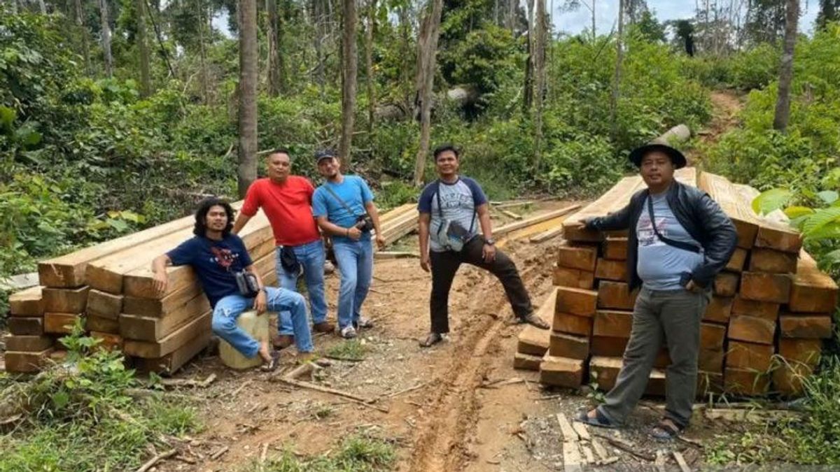 Terlibat Pembalakan Liar di HPT Ipuh, Polres Mukomuko Bengkulu Tetapkan 1 Orang Tersangka