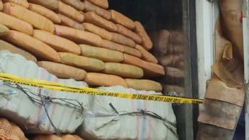 4名毒品信使被1.5亿印尼盾的Ganja干从苏门答腊岛到雅加达的蔬菜卡车引诱