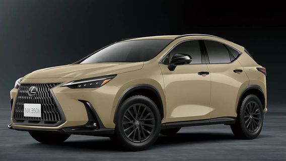 Le Lexus NX comporte une variante de bande passante, capace de traverser les pistes hors route