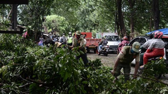 インドネシアの一部の地域では強風に注意してください。