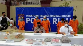 Smugglers Of 8 Slow Lorises From Tanah Datar, West Sumatra Arrested In Pekanbaru
