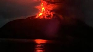 غالبية ضحايا ثوران بركان جبل سولاويزي فروا إلى أقاربهم ، وكشف حاكم سولوت أن العدد وصل إلى 700 شخص