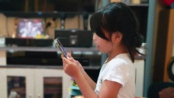 メタは、通信・デジタル省とPP Tunasを議論するための時間を延長するよう要請