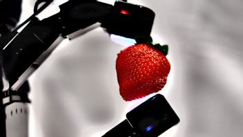 Facebook Creates Robots That Have Tactile Sensors