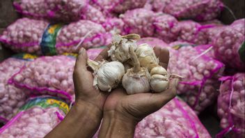 Alleged Maladministration Of Garlic Imports, Ombudsman: Importers Difficult To Get Approval