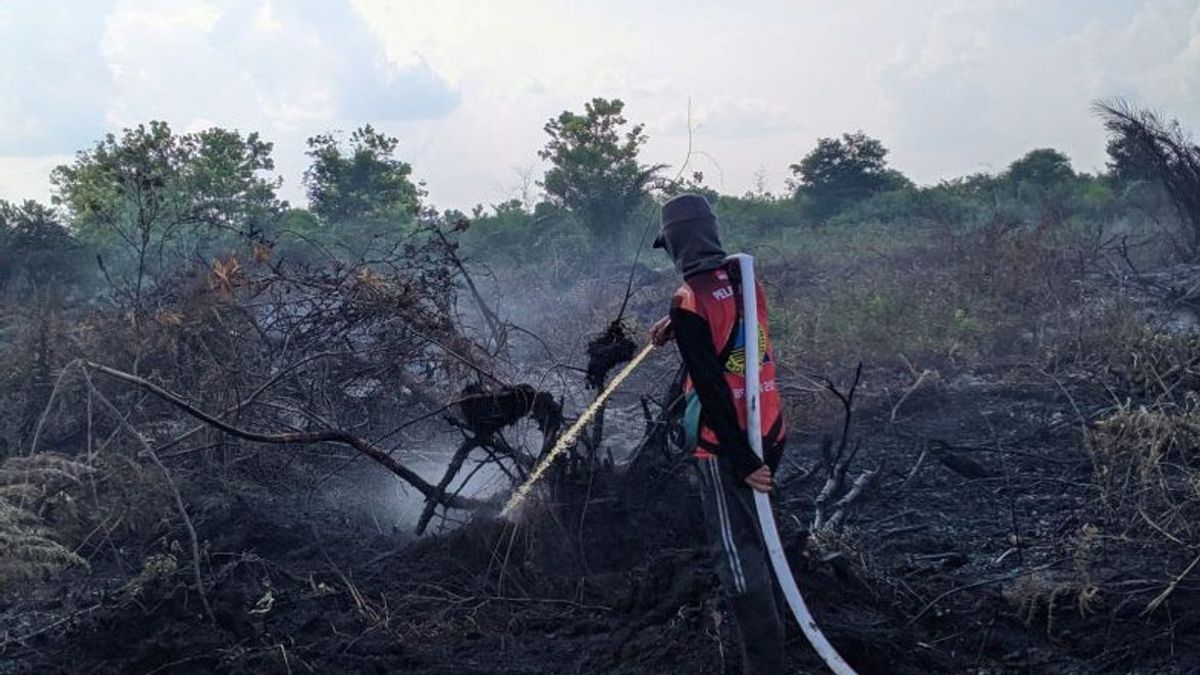 Head Of BNPB Asks South Kalimantan Provincial Government To Prioritize Preventing Forest And Land Fires