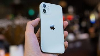 The iPhone 12 Mini Gets 122 Points From DxOMark