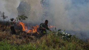 3 Regencies In Riau Set Fire And Forest Fire Emergency In The Middle Of Rainy Season