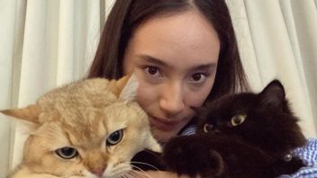 愛らしい、彼女の最愛の猫とタジャナサフィーラの4枚の写真 