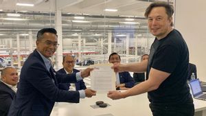 Putra Mahkota Keluarga Konglomerat Bakrie Rayu Elon Musk agar Tesla Investasi Baterai Kendaraan Listrik di Indonesia