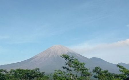 Erupsi dan Guguran Masih Terjadi di Gunung Semeru