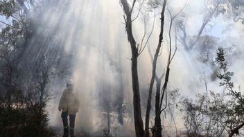 MoEF表示，印度尼西亚需要林业企业参与者的森林和土地火灾处理标准化参考