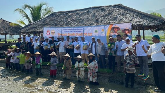 Lawan Stunting dari Sawah: Sinergi Pangan dan Gizi di Carita Demi Cetak Generasi Unggul