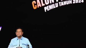 Soal Prabowo Minta Maaf di Debat Capres, TKN: Menegaskan Musuhnya Bukan Anies-Ganjar  