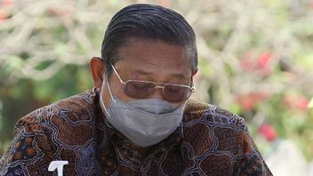AHYの男性の声明に応じて、モエルドコの民主党員は一連の嘘SBYを明らかにしました