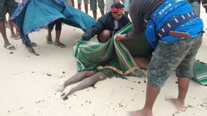 Hilang Saat Memancing, Warga Sumba Barat NTT Ditemukan Meninggal