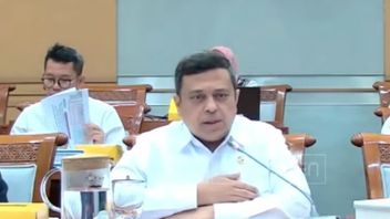 最小英語のハラール監査人、オーストラリアからの65万トンの肉の輸入が妨げられている