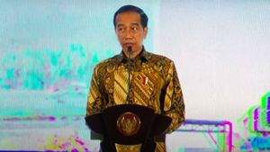 Pembangunan IKN Cekak Dana, Amien Rais Ingatkan Jokowi Jadi Presiden Tinggal 30 Bulan Lagi Jangan Tambah Utang