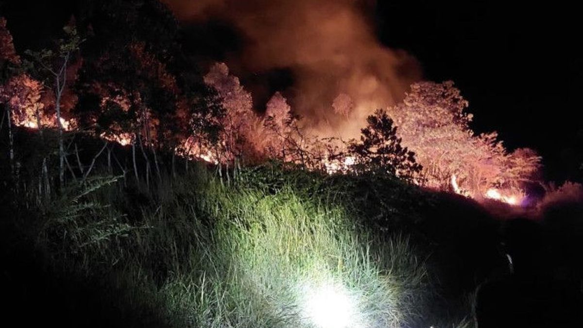 2 Hektare Lahan di Aceh Besar Terbakar