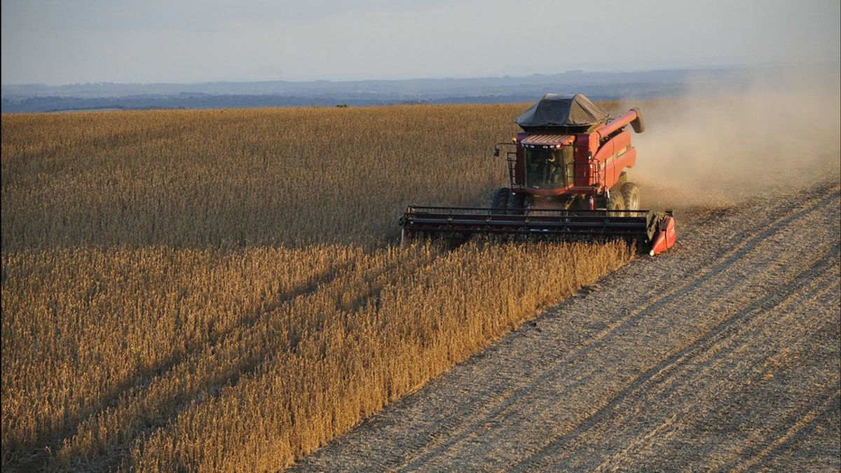 中国为什么要购买美国大豆？ 特朗普被称为有史以来人数最多的人