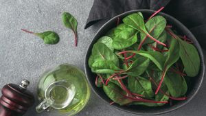 5 Leaf Boils For Lambung Acids, Natural Medicines That Are Easy To Make