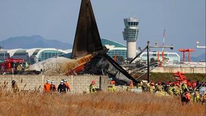 Jeju Air Plane Accident, Ministry Of Foreign Affairs: No Indonesian Passengers