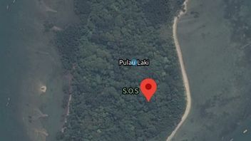 Warganet Heboh Tanda SOS di Pulau Laki Dekat Lokasi Jatuhnya Sriwijaya Air SJ-182