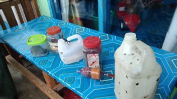 6 受保护的努里鸟在Namlea Maluku港口固定,有些人装在瓶子中