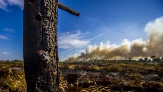 南加里曼丹省政府设置林地火灾雾霾警戒状态