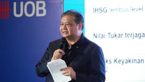 Airlangga: Ekonomi Indonesia Tetap Solid Memasuki Tahun Kedua Pemerintahan Prabowo