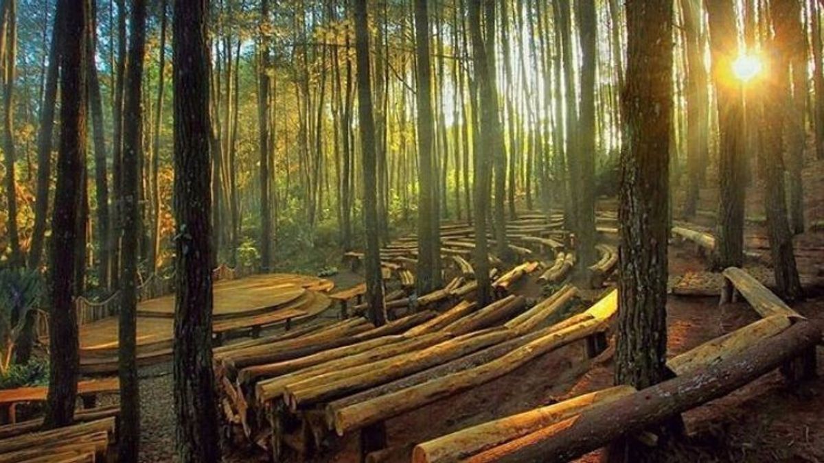 ジョグジャのNgedateのアイデアは、ノンクロング以外