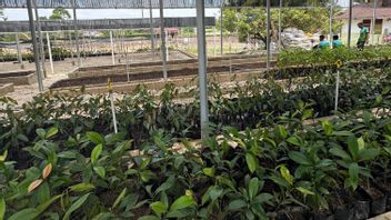 Kapolda Riau Bakal Bikin Program Latihan Tanam Jagung untuk Kapolsek