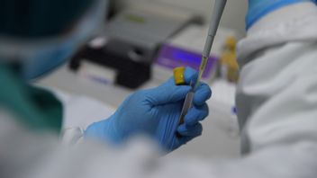 سباق من أجل اللقاحات : علماء أكسفورد تعلن لقاحاتهم جاهزة في أيلول / سبتمبر