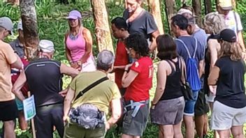 celi, en voyant plus près des plantations de café, caoutchouc et de cengkeh, les touristes espagnoles apprécient une tournée à Jember
