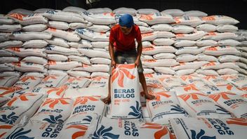 准备KPSH工具，贸易部长祖拉斯指派Perum Bulog填补中等大米供应