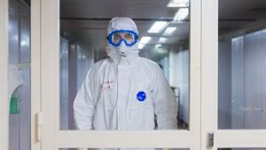 Korea Selatan Laporkan  Lagi Kasus Flu Burung