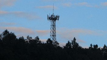 Fasilitas Pemancar Telekomunikasi di Jayapura Raib, Kepala Diskominfo Sebut Ulah Petugas Gadungan