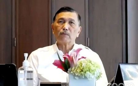 Minta Maaf PPKM Darurat Belum Optimal, PPP Sebut Luhut Tunjukkan Kebesaran Jiwa