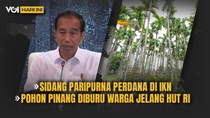 VOI Hari Ini: Jokowi Pimpin Sidang Paripurna Perdana di IKN, Pohon Pinang Diburu Warga Jelang HUT RI