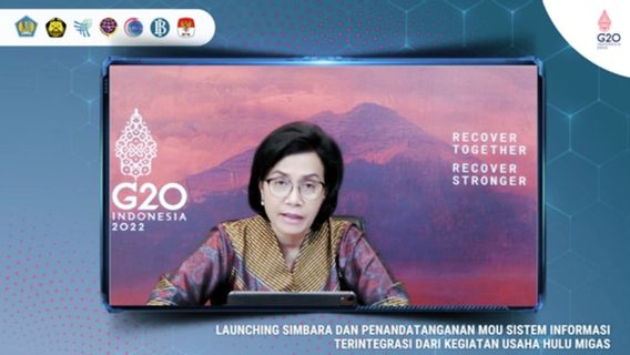 Minerba Tax Don't Get Escaped, Sri Mulyani Launches Simbara