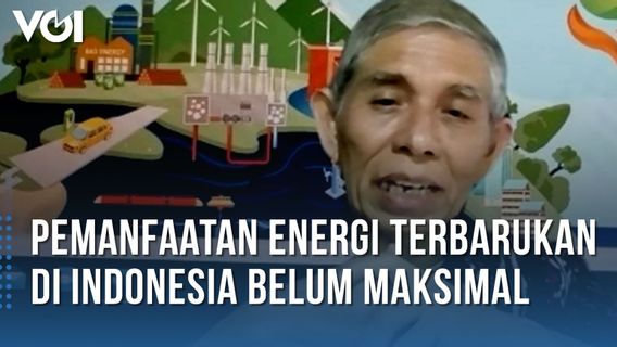 VIDEO: Indonesia Is Rich In Green Energy Potential, METI Chair Surya Dharma: Not Maximized